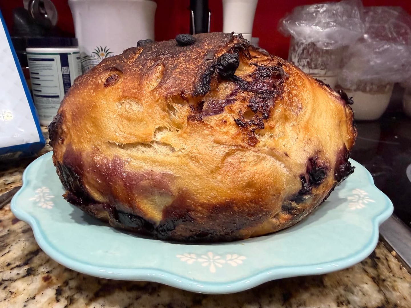 Customer photo review of Living Jin Foods: Sourdough Starter