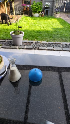 Ein Kunde zeigt seinen üppigen, leuchtend grünen Rasen nach der Anwendung des RASENBLITZ™ Frühjahrsdüngers.