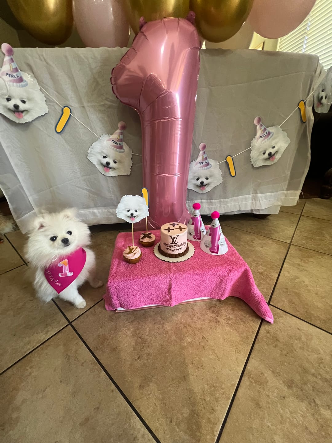 Customer photo review of Standard Personalized Dog Party Pack