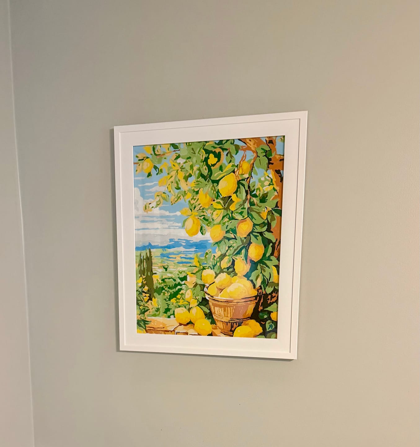 Customer photo review of Bounty Lemons