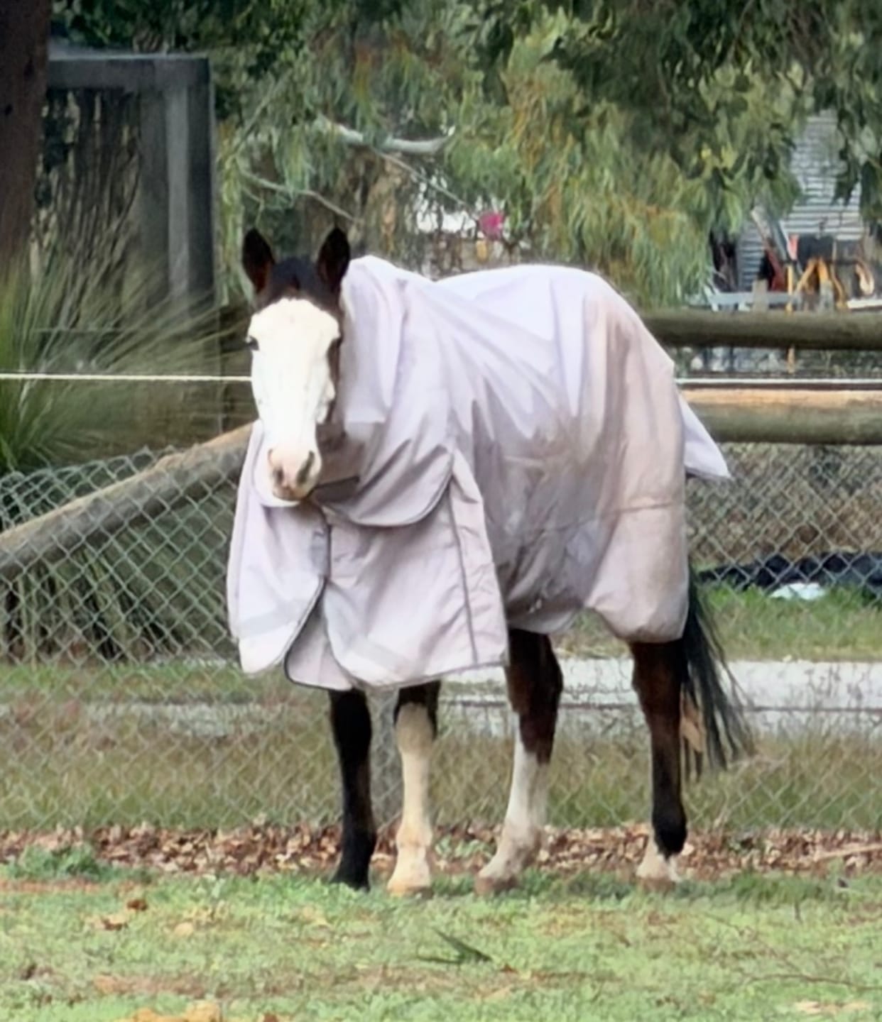 Customer photo review of LE Boxter Turnout 0g