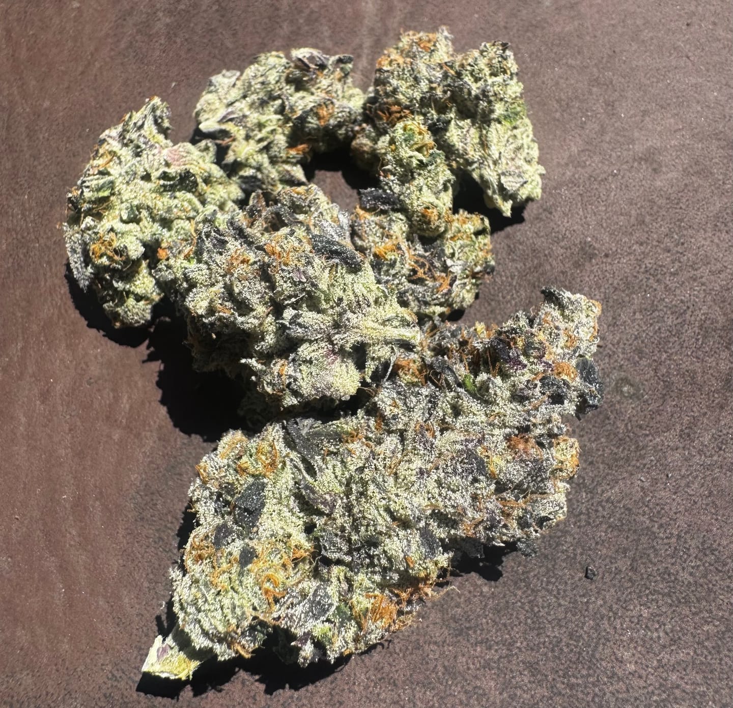 Customer photo review of Goofiez