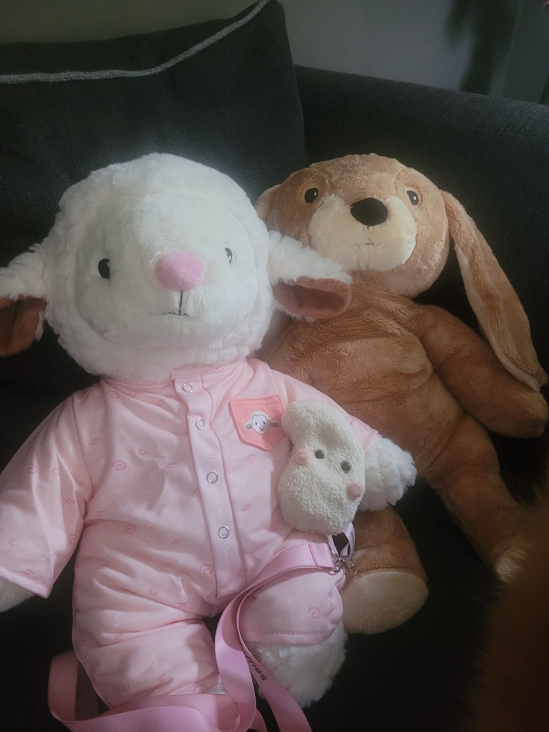 Customer photo review of Lotgenootje Koala 2kg