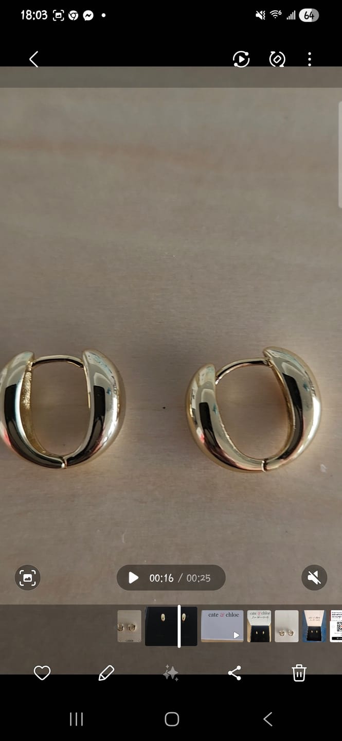 Customer photo review of Emersyn 18k White Gold Plated 14mm Hoop Earrings for Women