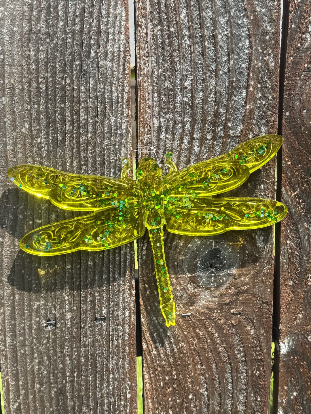Customer photo review of 10.2x7.0x0.6" Dragonfly Relief 1 Silicone Mold