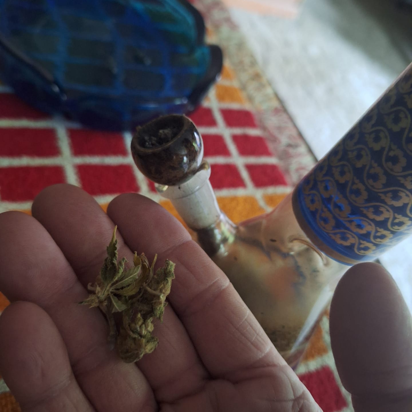 Customer photo review of Gorilla Glue - Minis - 14 Grams - Hybrid
