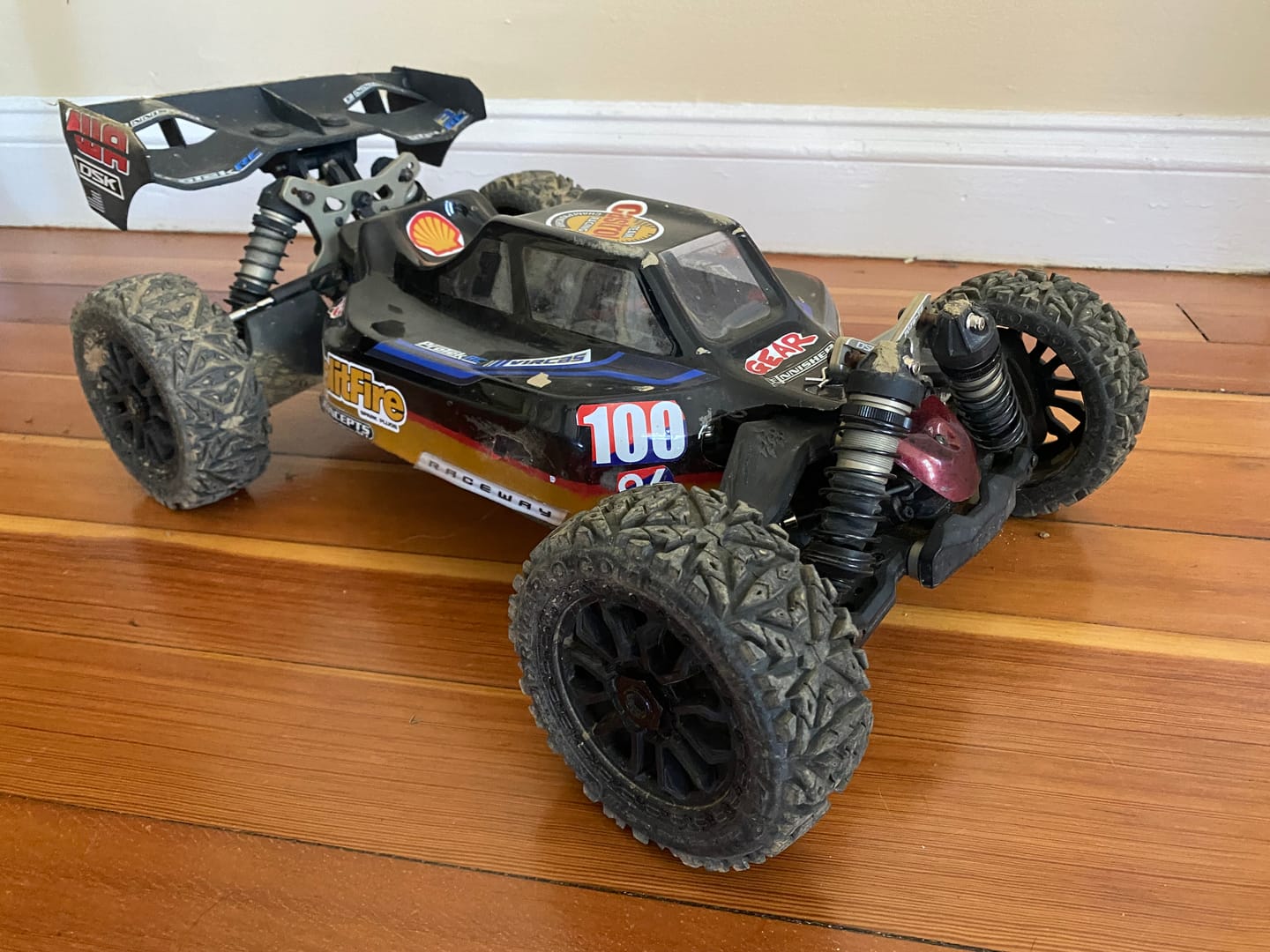 Customer photo review of Rlaarlo 1/8 4WD Buggy Dragon Scale Knight | DSK Roller(Without Electric Parts)
