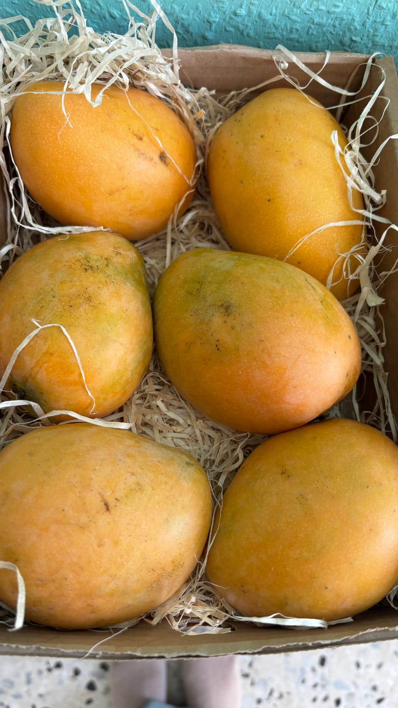 Customer photo review of Mango Mingolo baumgereift Sonderaktion % 2kg Box