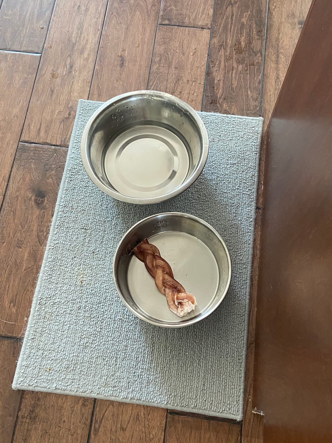 Customer photo review of 6 Inch Thick Braided Bully Stick
