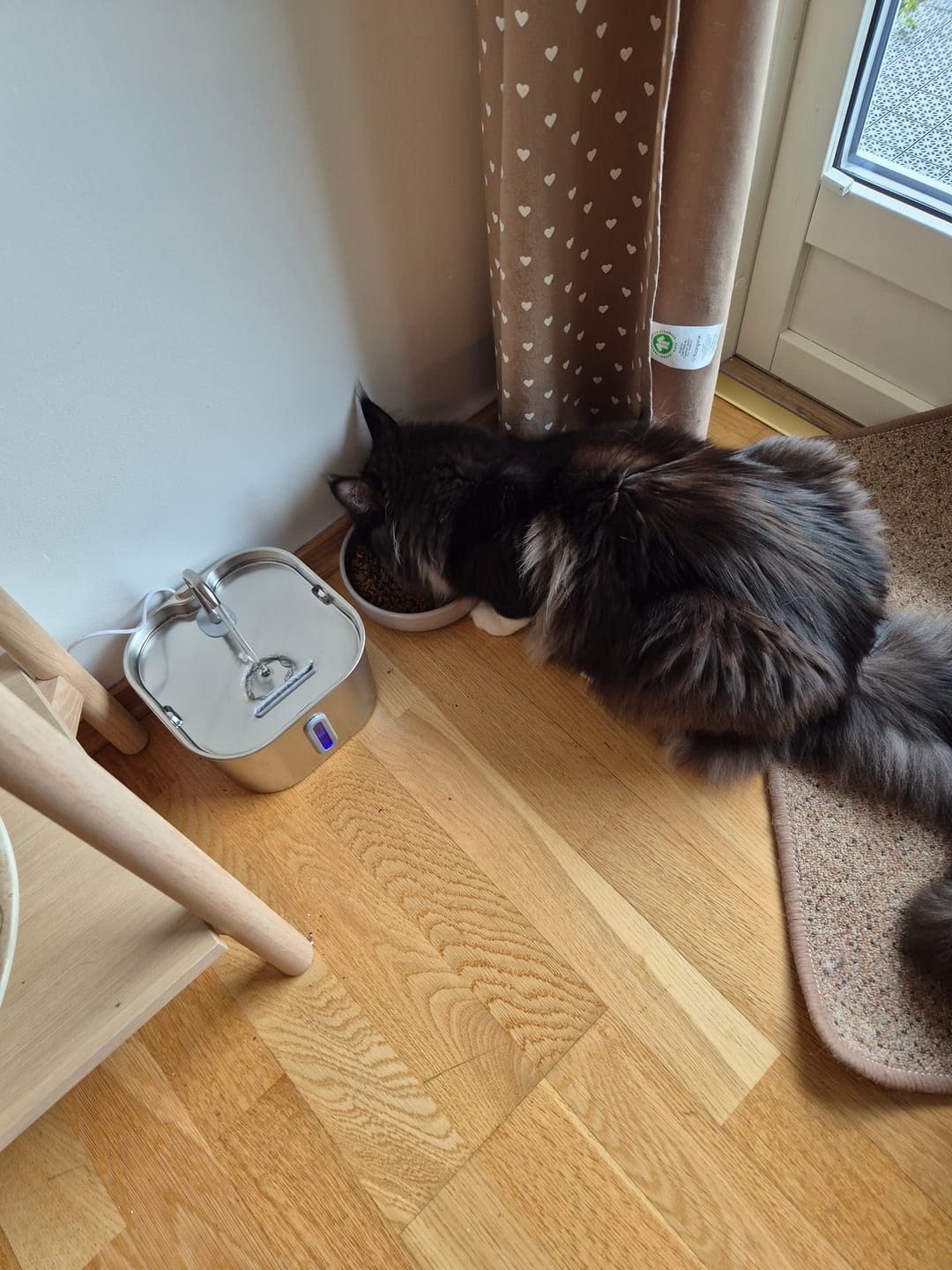 Customer photo review of VitaCat Drikkefontene - 2.2L