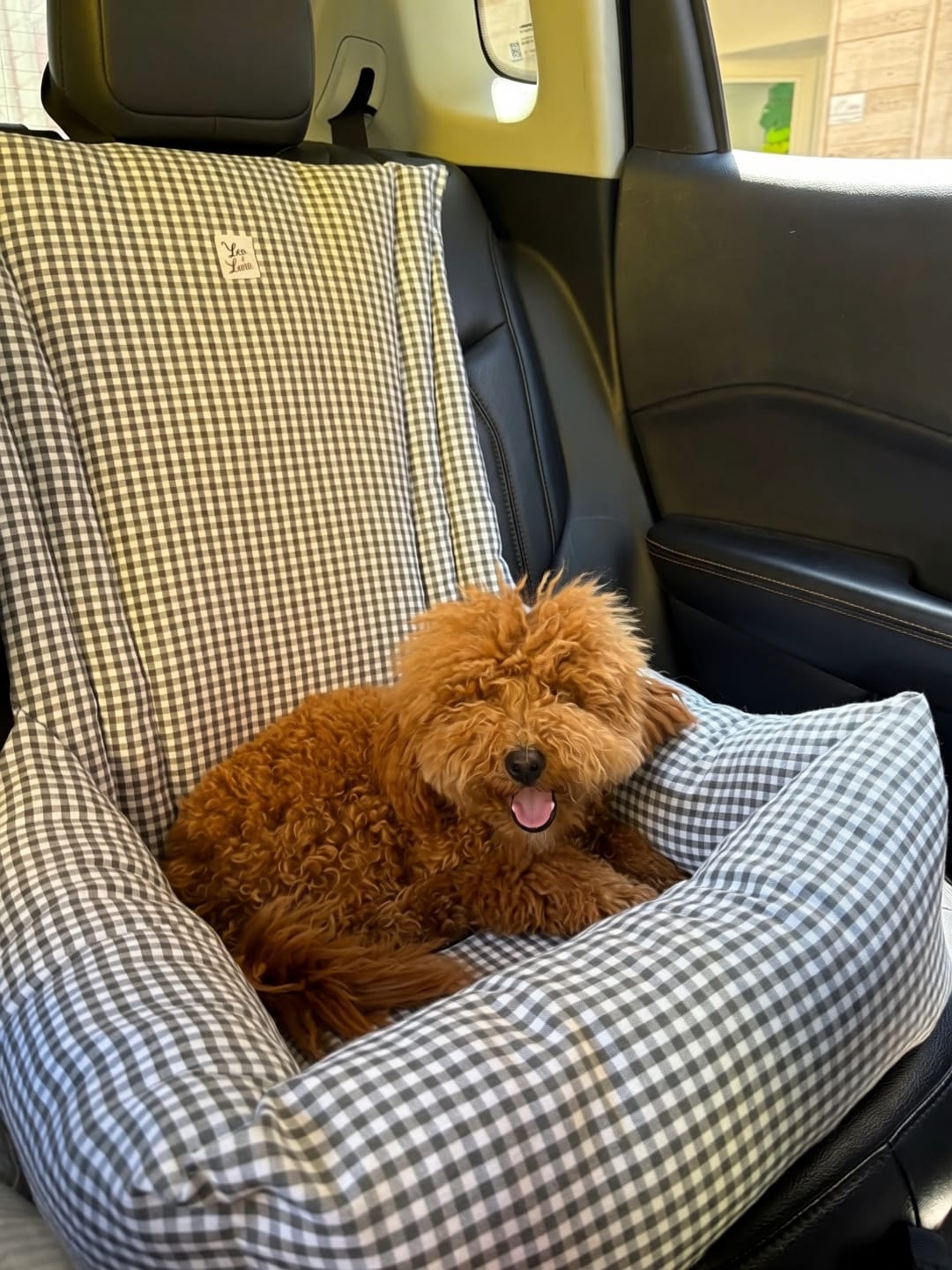 Customer photo review of Seggiolino Auto Cotone Vichy Grigio