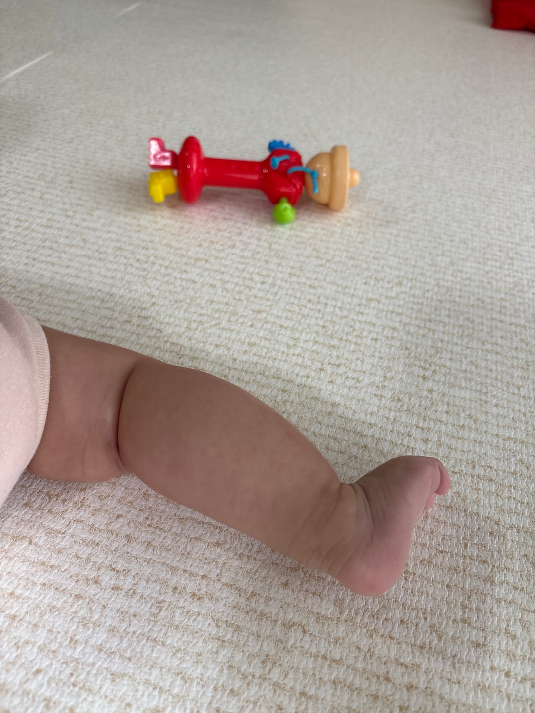 Customer photo review of 【メーカー廃盤商品のため売り切り特価】PARKLON DIYペットロールマット 幅が選べる５サイズ　厚み1.2cm長さ700cm