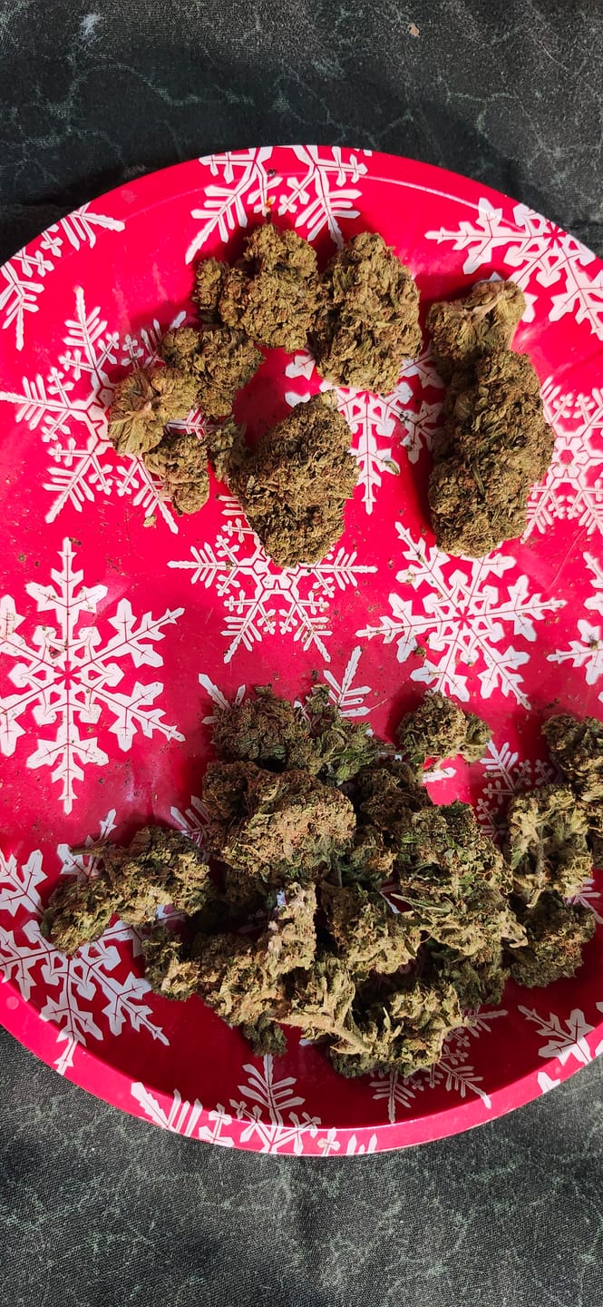 Customer photo review of Dante's Inferno Light Assist THCA