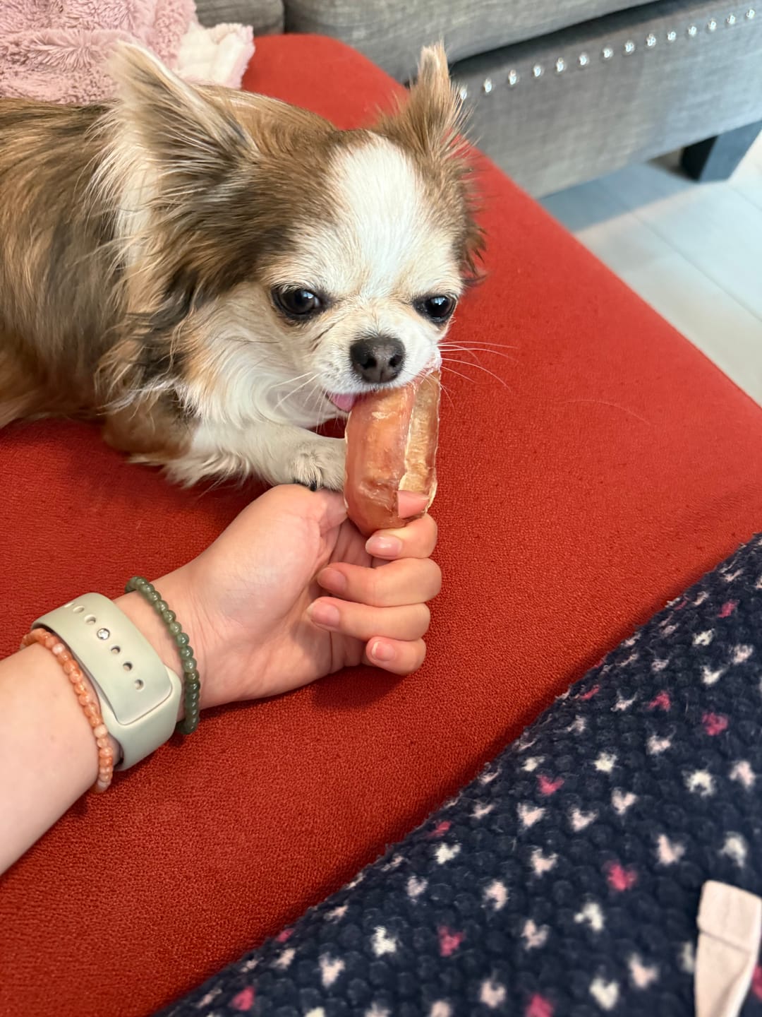 Customer photo review of Small Bully Stick Ring