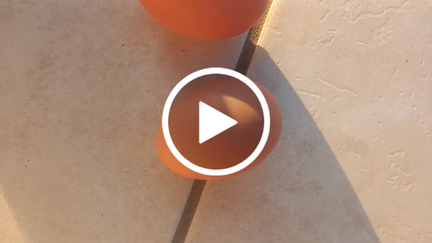 Customer video review of Avi Layer & Breeder (Fertility, Egg Quality & Skeletal Support for All Birds)