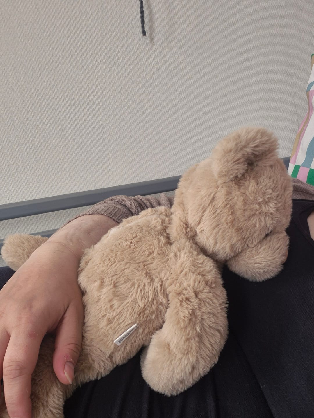 Customer photo review of Verzwaringsknuffel Teddybeer 40 cm | 2 kg