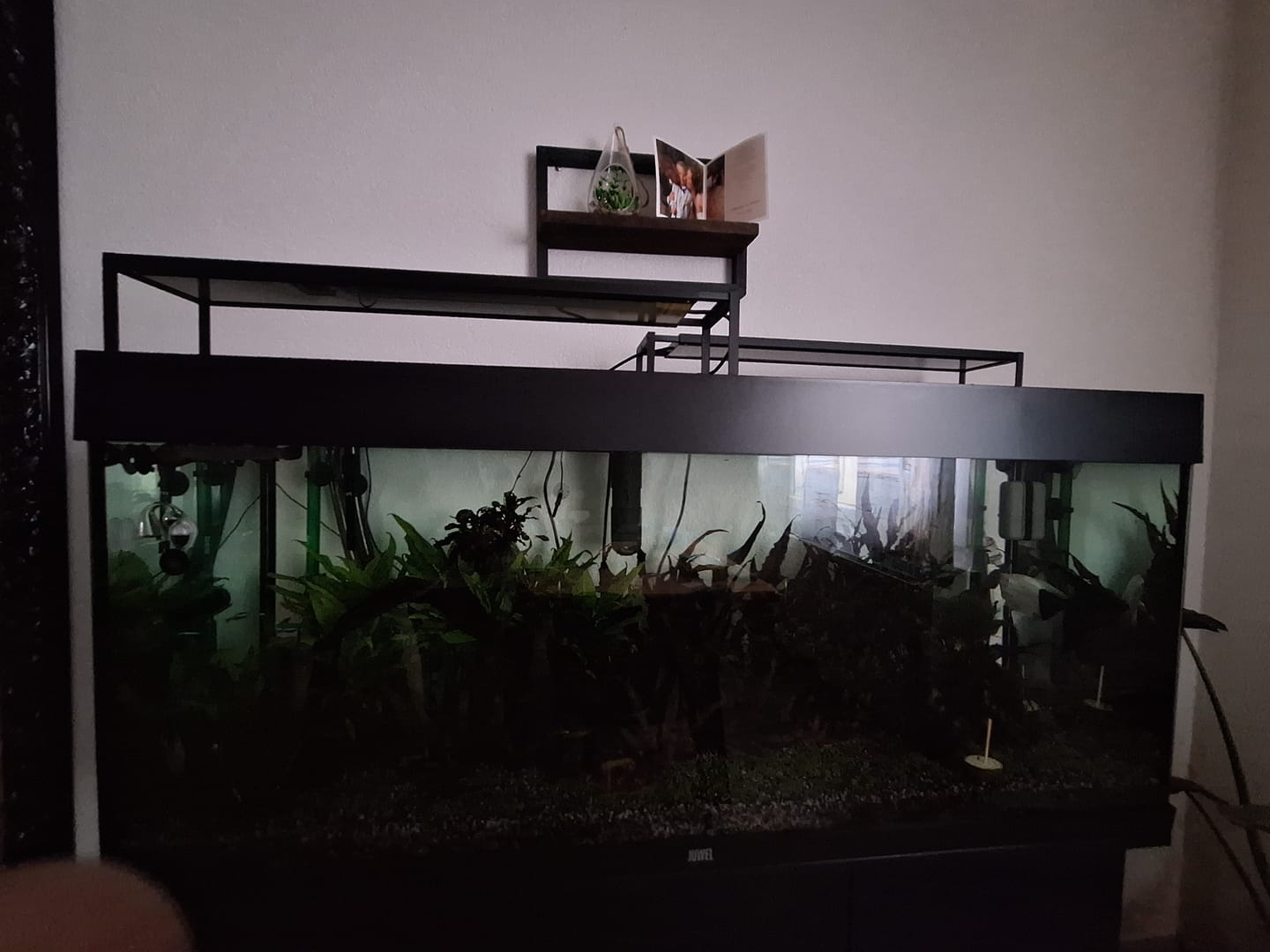 Customer photo review of Chihiros WRGB II Slim LED Light