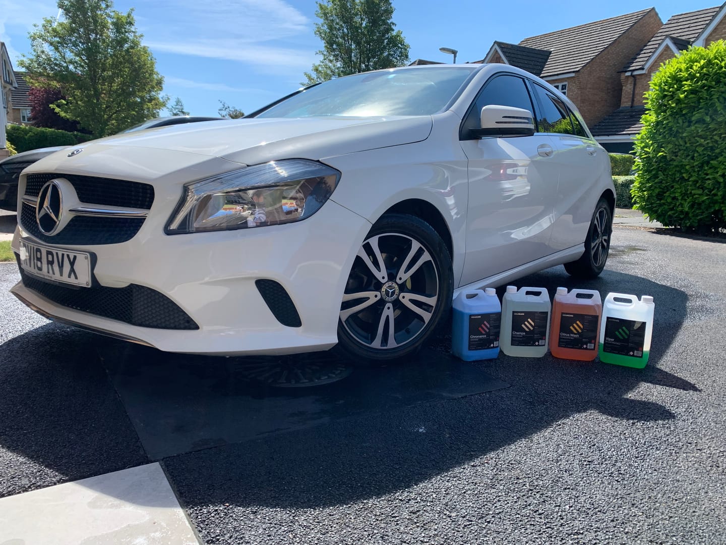 Customer photo review of Champs - Luxury Shampoo
