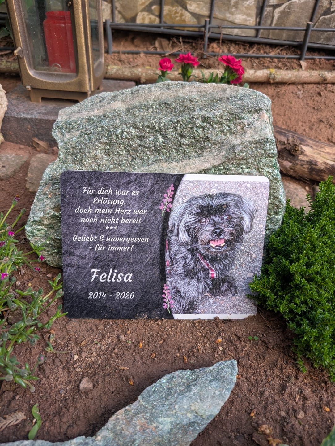 Customer photo review of Hunde Gedenktafel mit Foto & Spruch (UV- & Wetterfest)