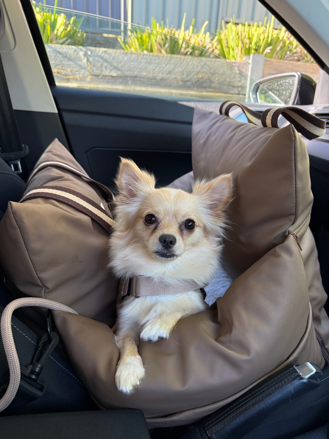 Customer photo review of Boujee Booster