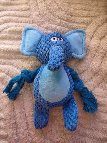 Customer photo review of Paw-Friends™-Plushies – Designed for Furry Friends Who Destroy Everything