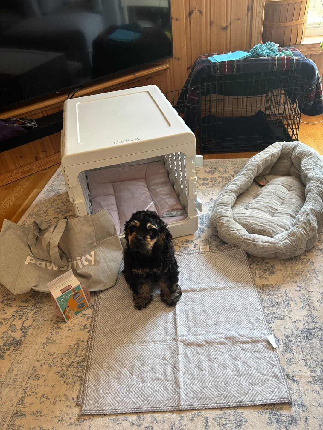 Customer photo review of Puppy Bundle PAWD® Dog Crate