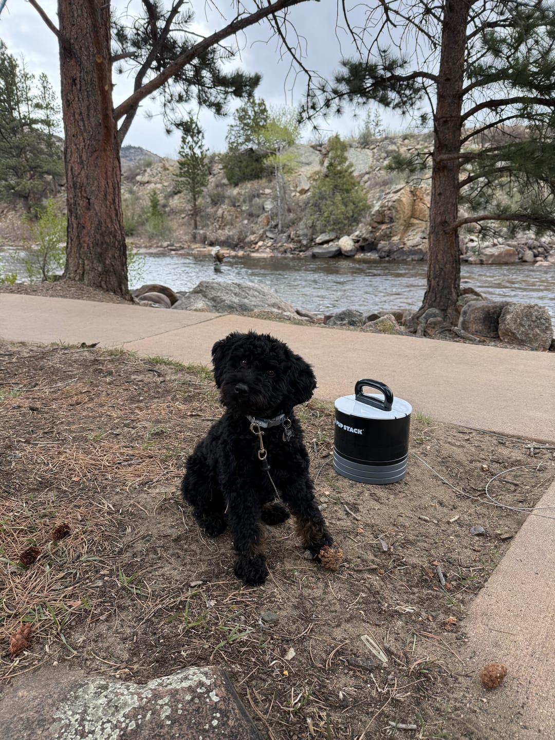 Customer photo review of Pup Stack
