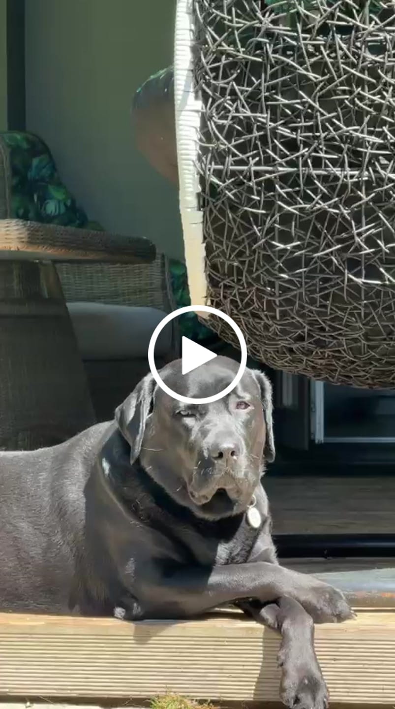Customer video review of Pasūtījuma sagatavošana