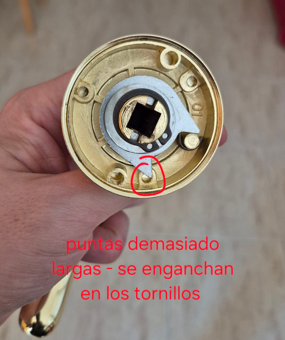 Customer photo review of Manilla '651' dorada brillante con Roseta Redonda y asa gorda para puertas