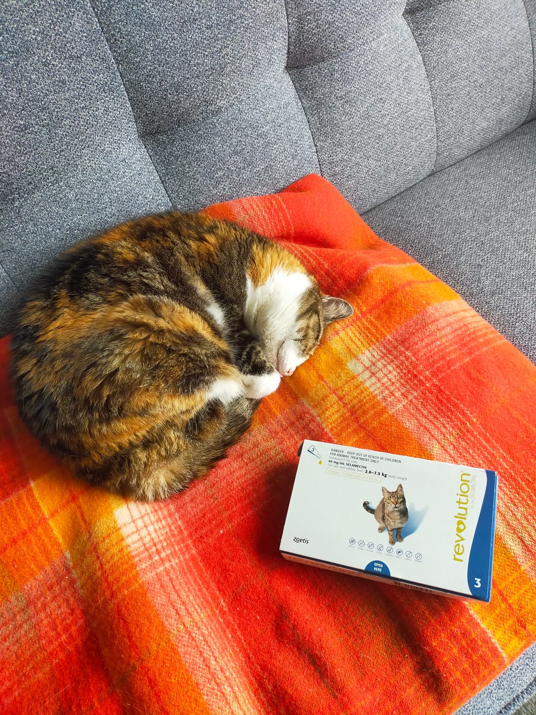 Customer photo review of Revolution for Cats
