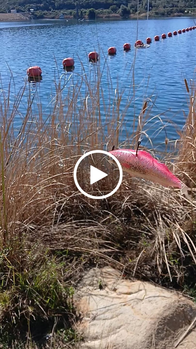 Customer video review of Kanama SmartDrive Soft Bait — For Smart Bait Mini & Air
