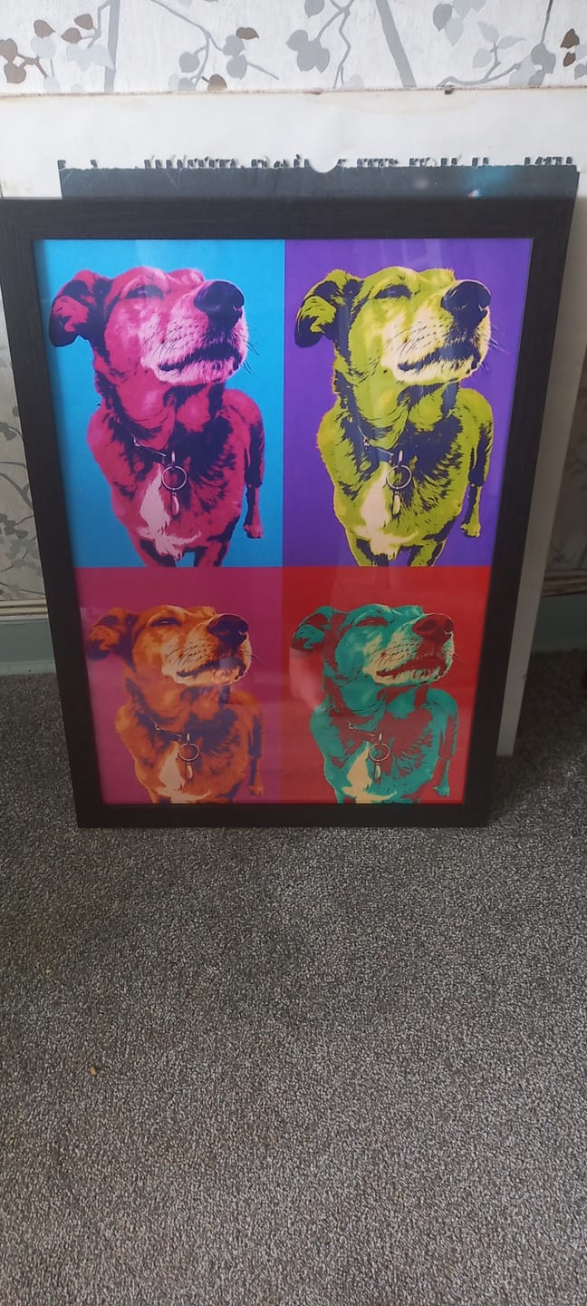 Customer photo review of Personalised Poster With Dog or Cat - Colour Squares