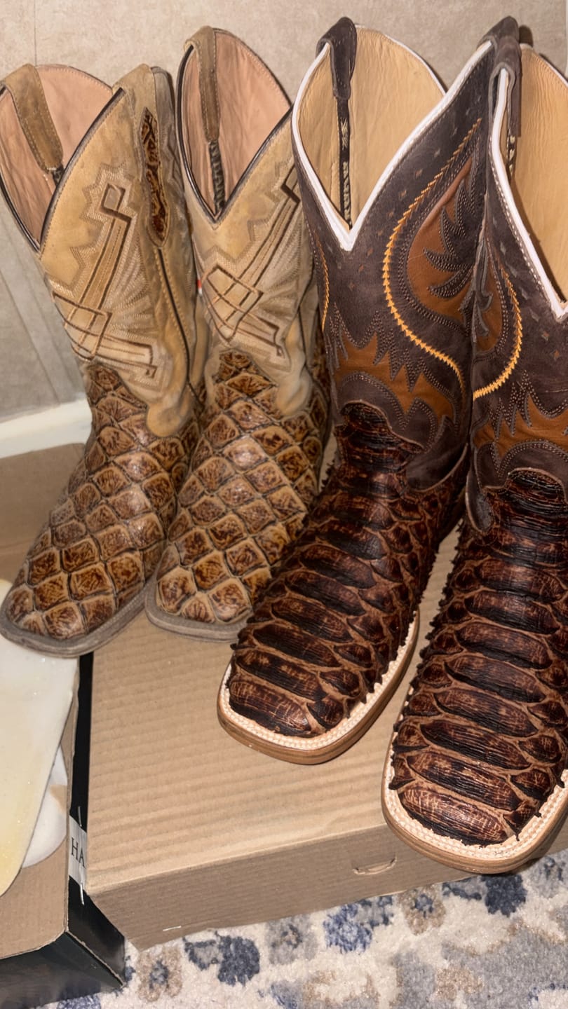 Customer photo review of Cowboy Boot Python Cognac