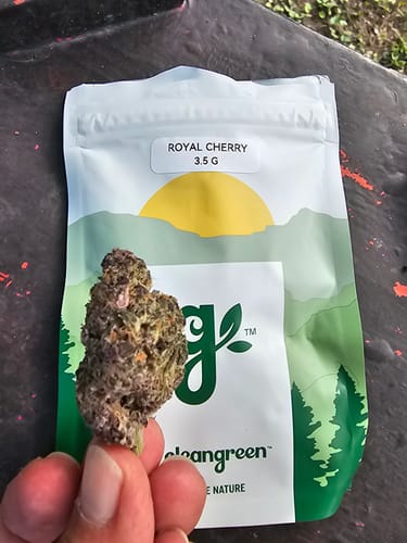 Customer holding a Royal Cherry cannabis bud in front of its white and green packaging.
