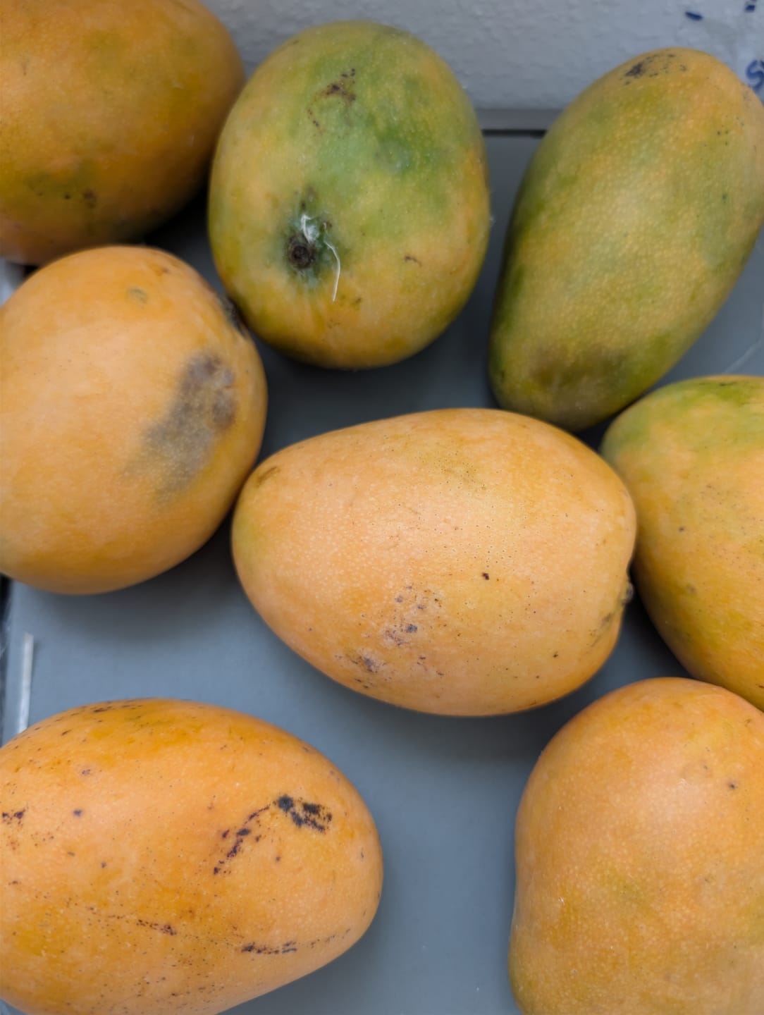 Customer photo review of Mango Mingolo baumgereift Sonderaktion % 2kg Box