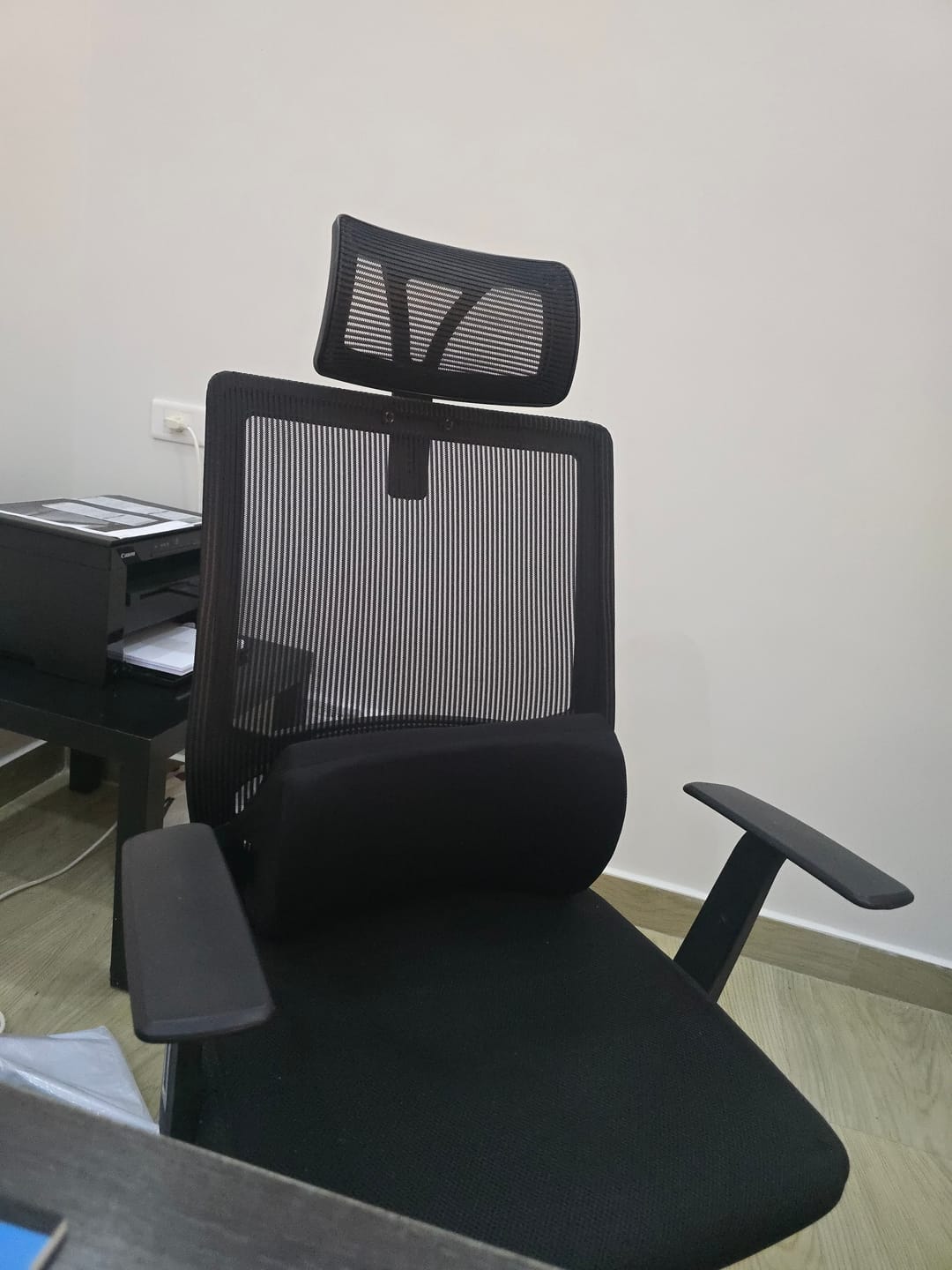 Customer photo review of Lumbar Back Pillow