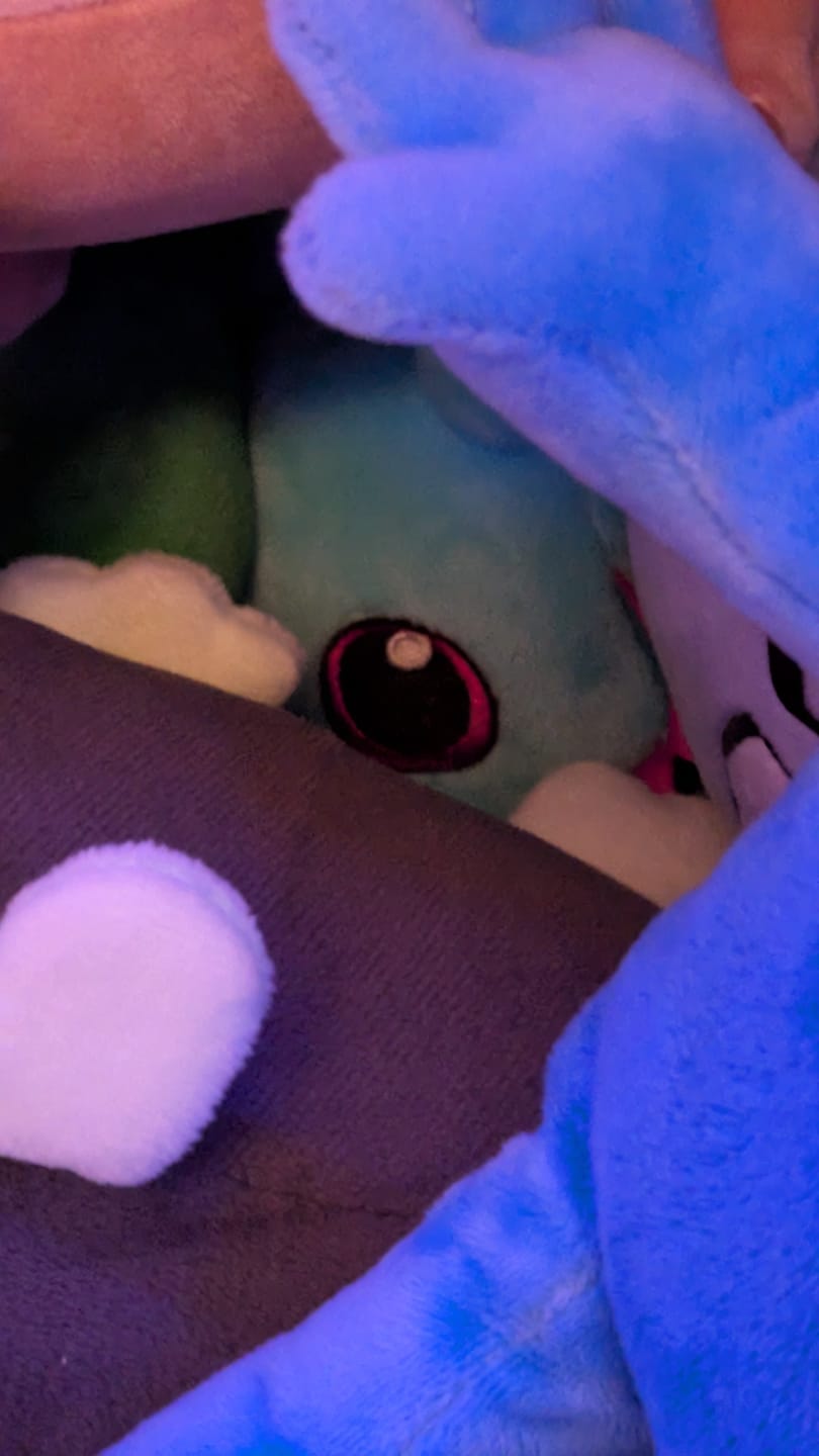 Customer photo review of Rain World - Rivulet Slugpup Plush
