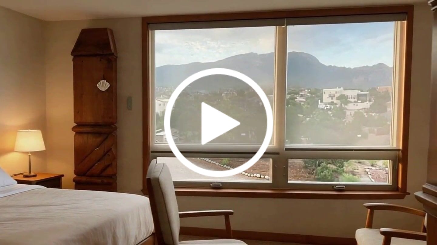 Customer video review of Smart Motorized Light Filtering Sheer Roller Shades Translucent Vision