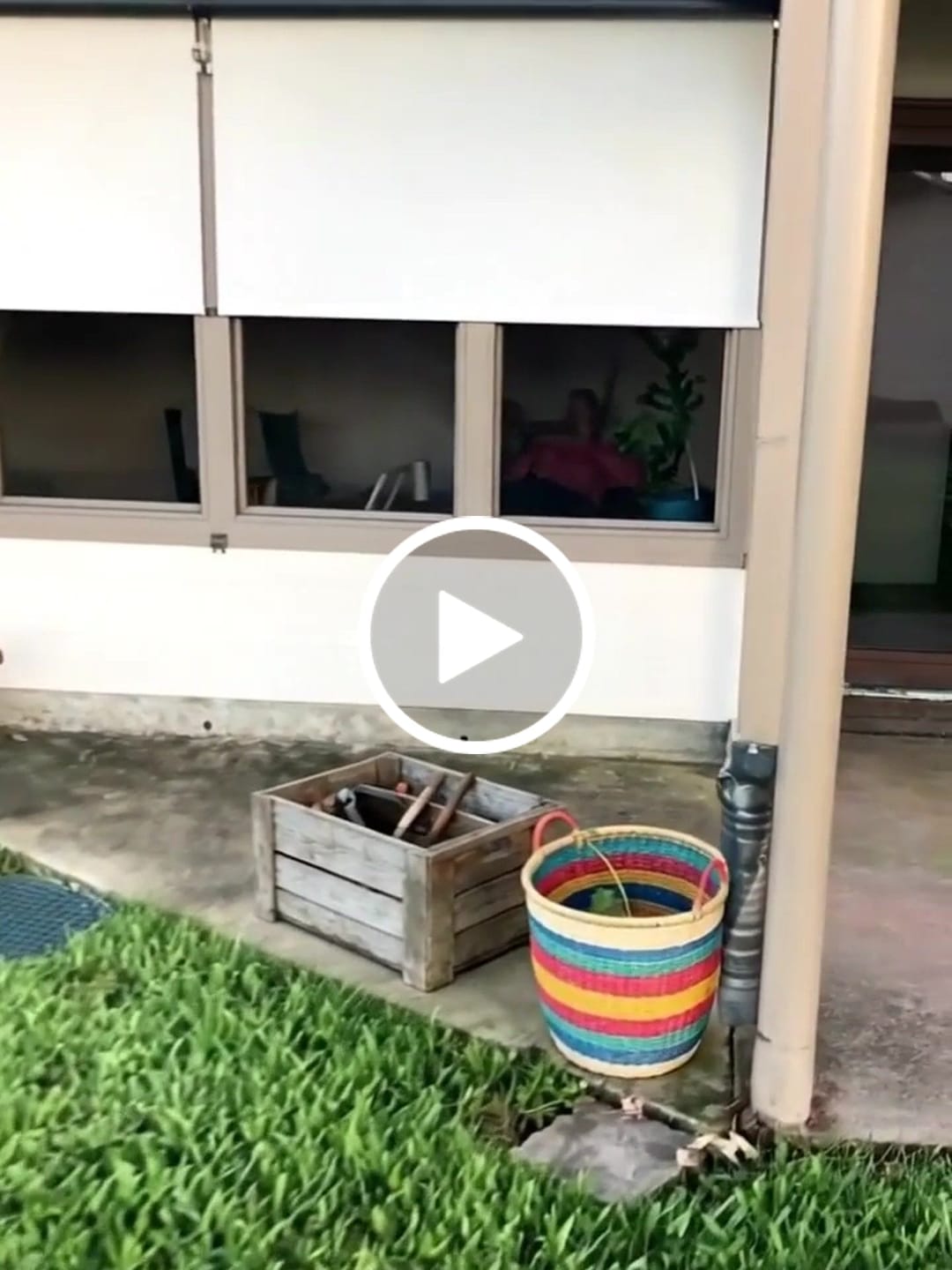 Customer video review of Smart Motorized Outdoor Shades 5% Openness