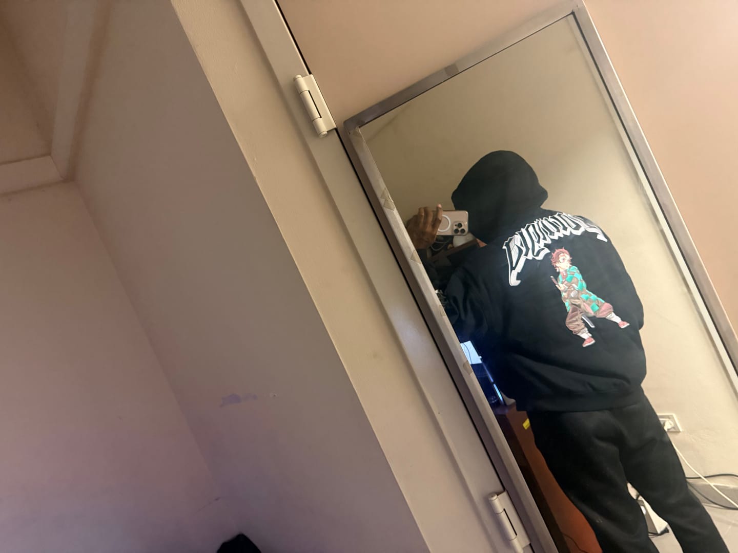 Customer photo review of 5198 - Demon Slayer: Kimetsu no Yaiba - Jackets