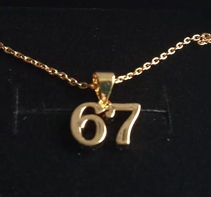Customer photo review of Danna 18k White Gold Plated 67 Pendant Necklace for Women