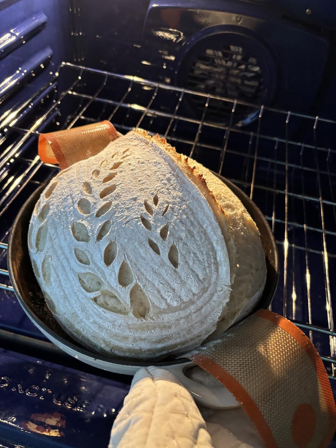 Customer photo review of Living Jin Foods: Sourdough Starter