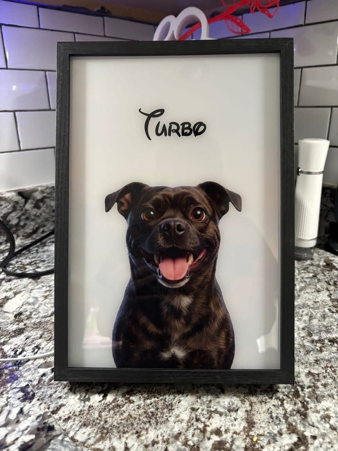 Customer photo review of Magical Pet Portrait LED Night Light