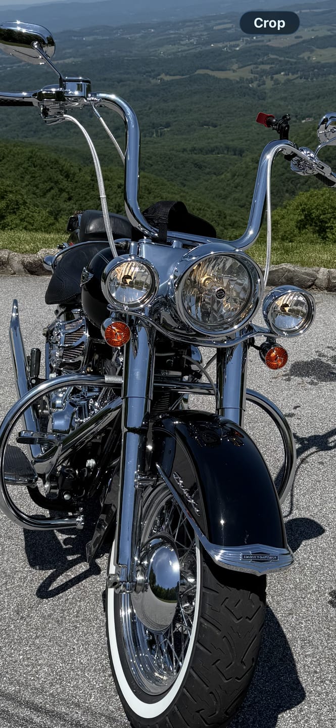 Customer photo review of Harley Davidson Clip in Lenses - Turbine / Chrome / Amber