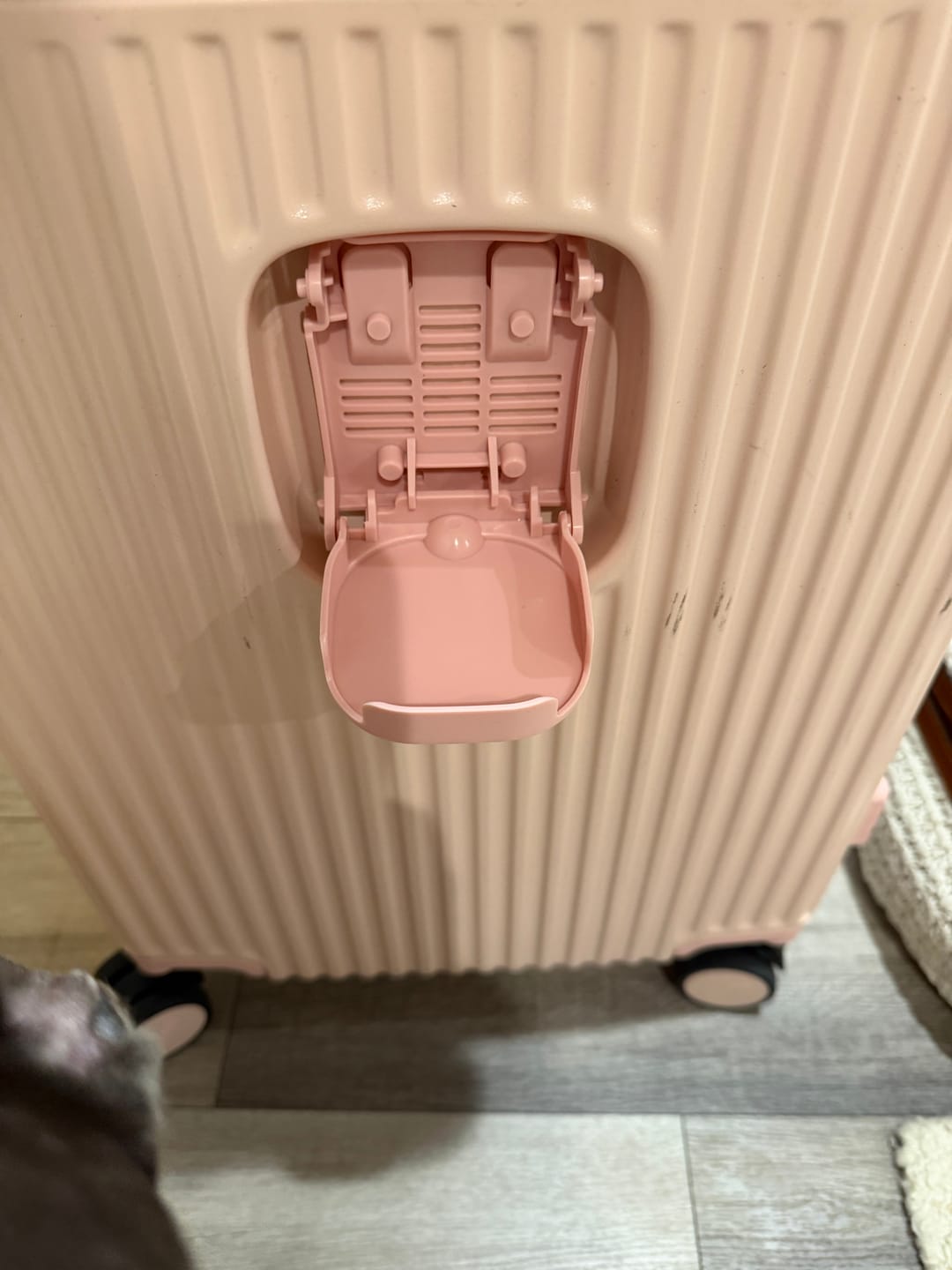 Customer photo review of Carry-On: All-in-One