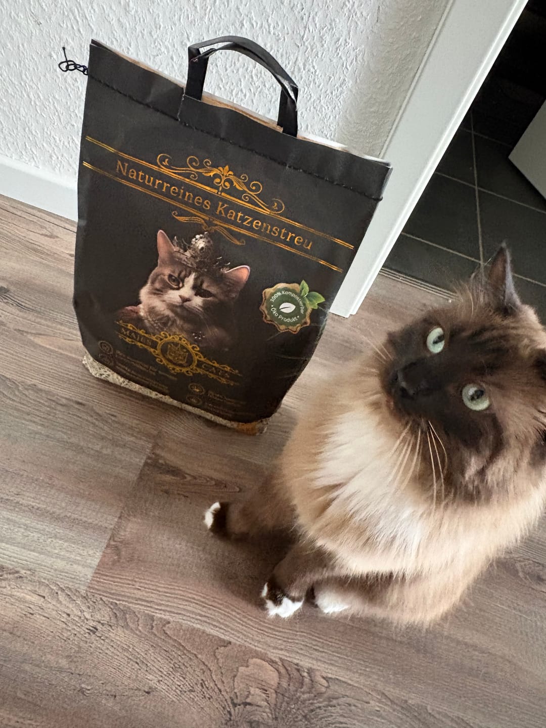 Customer photo review of -Naturreines Katzenstreu