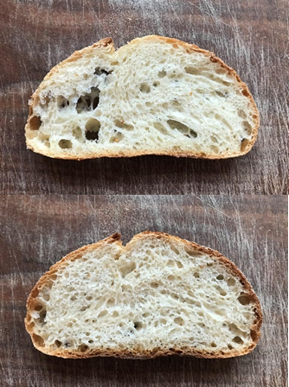 Customer photo review of Living Jin Foods: Sourdough Starter