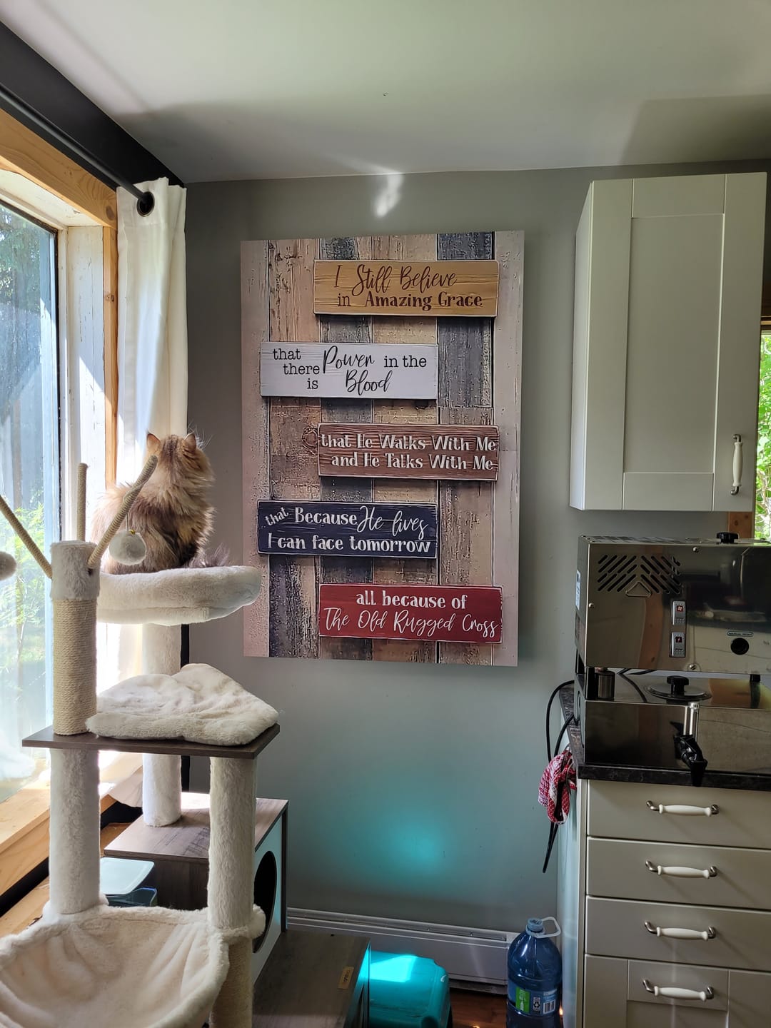 Customer photo review of Rustic I Still Believe In Amazing Grace Canvas Wall Art