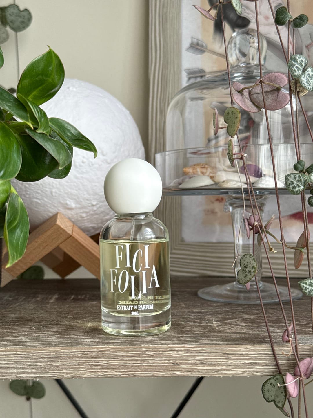 Customer photo review of BEST IN SHOW ™