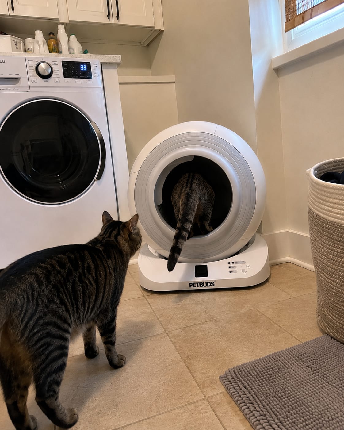 Customer photo review of The Petbuds Tonepie Q-CLEAN Automatic Self-Cleaning Litter Box